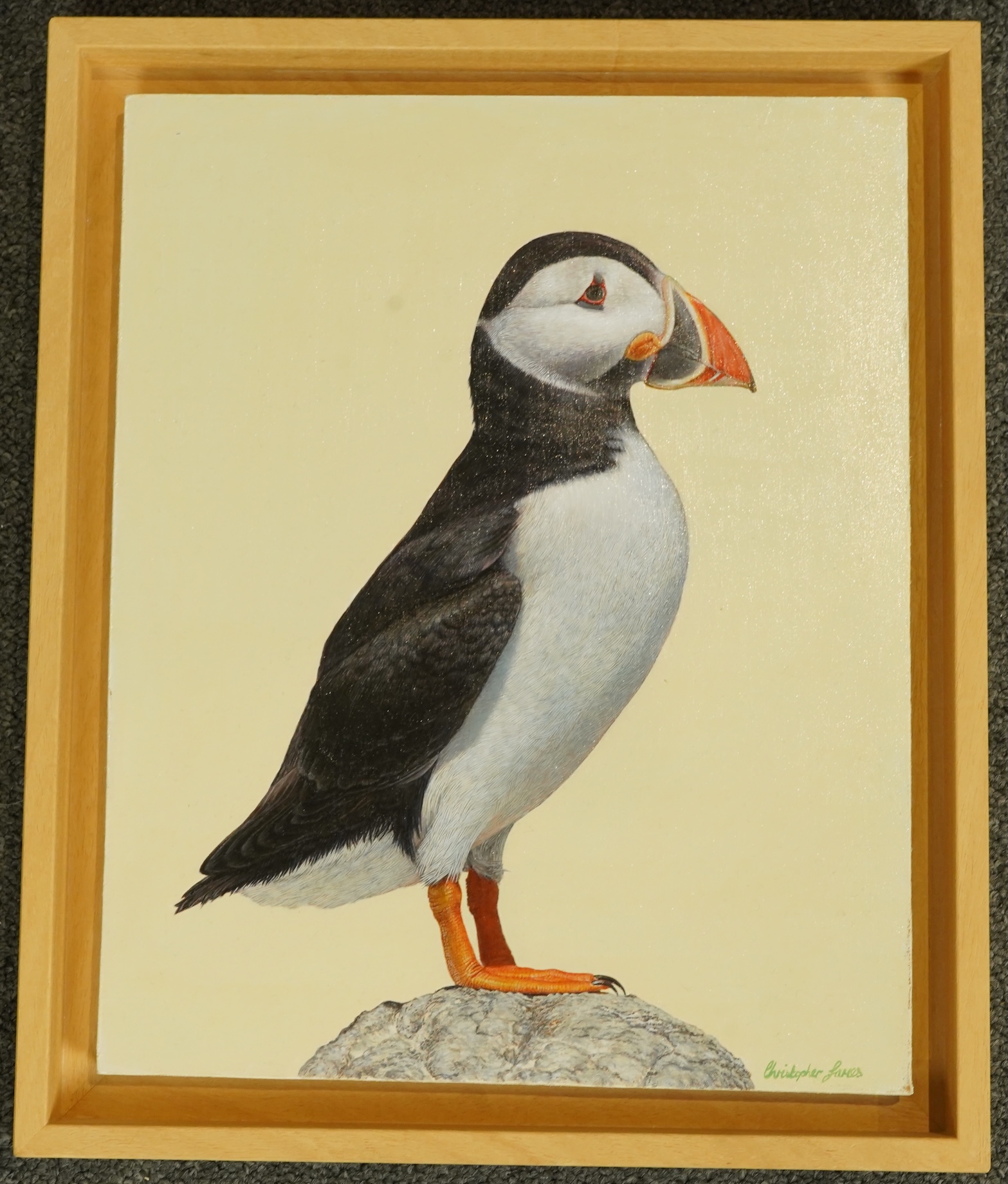 Christopher James (English, Contemporary), Puffin, oil on panel, 30 x 24cm